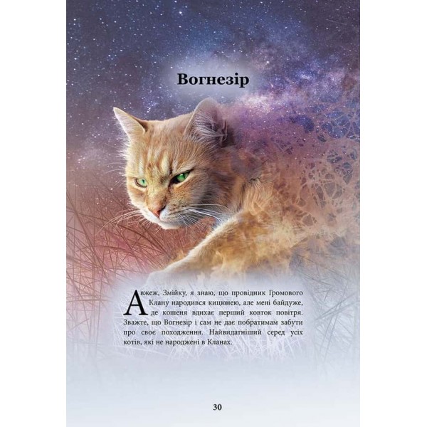 Коти-вояки. Герої Кланів. Хроніки Зореклану