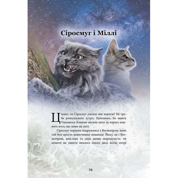 Коти-вояки. Герої Кланів. Хроніки Зореклану