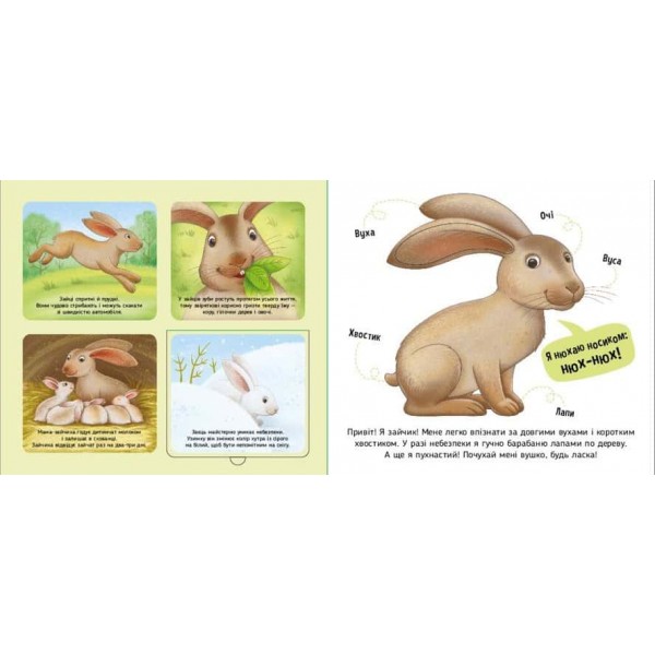 Познайомся і погладь. Лісові тварини