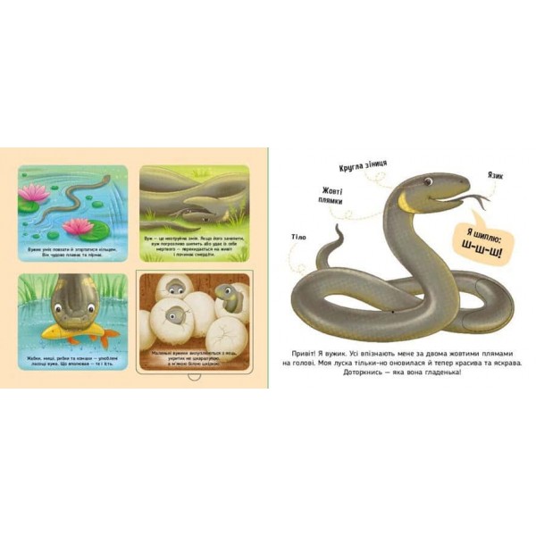 Познайомся і погладь. Лісові тварини