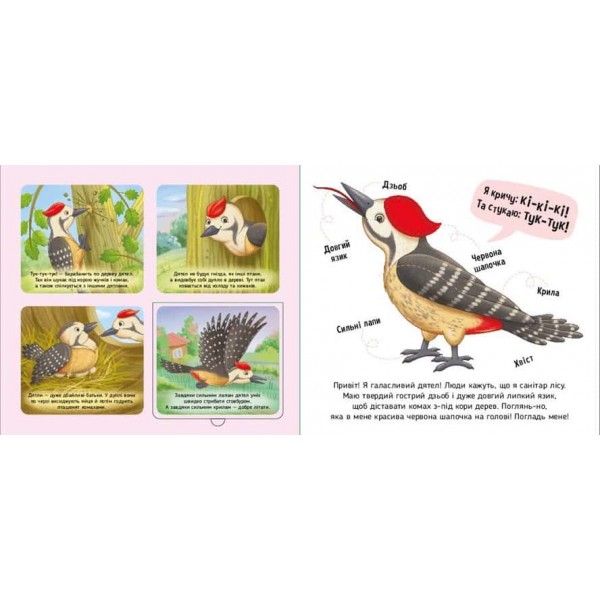 Познайомся і погладь. Лісові тварини