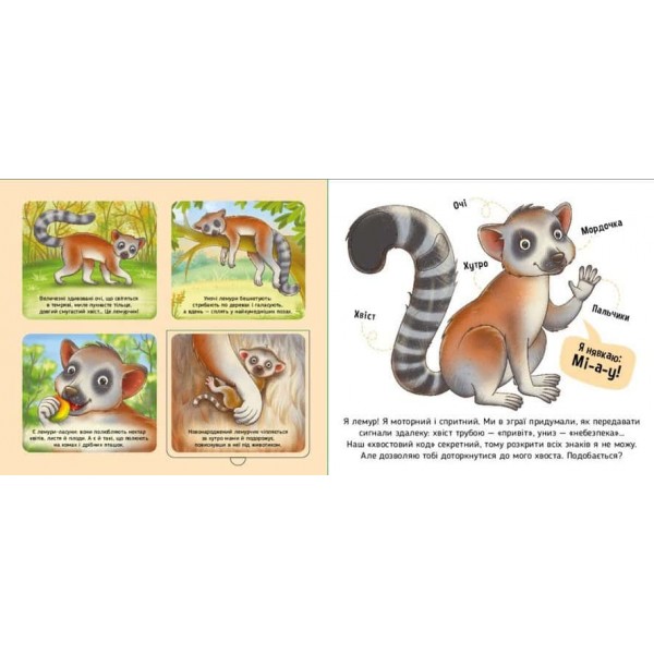 Познайомся і погладь. Тварини світу