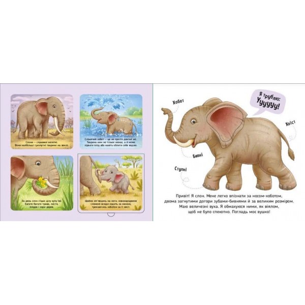 Познайомся і погладь. Тварини світу