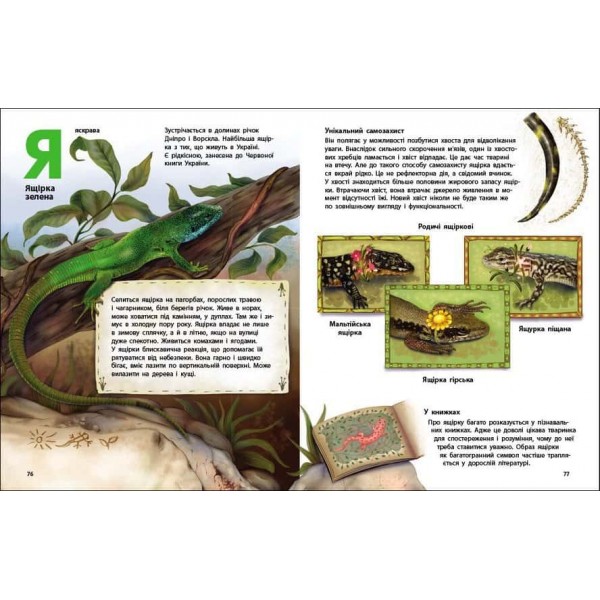 Живий світ України