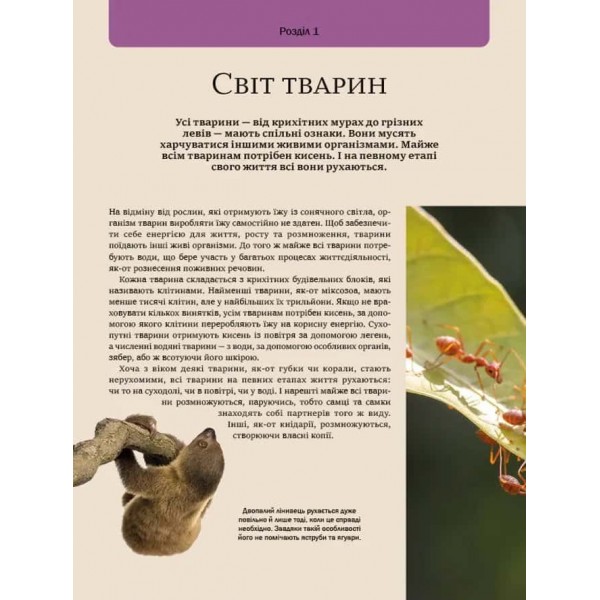 Велика книга тварин