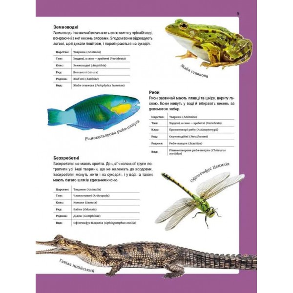 Велика книга тварин