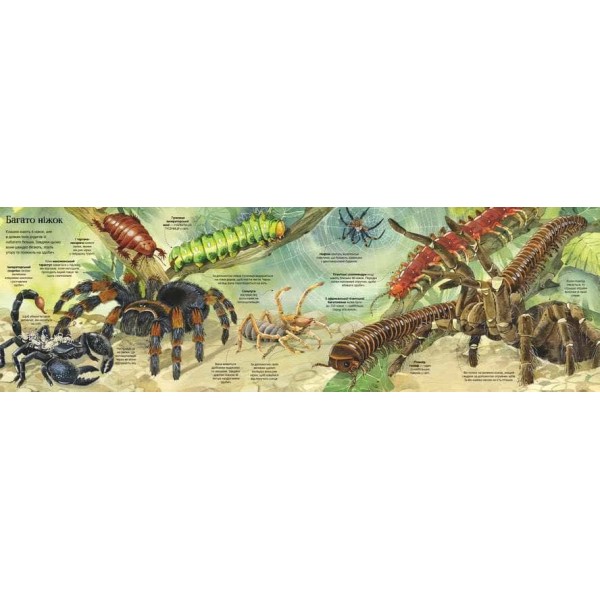 Велика книга комах і не тільки