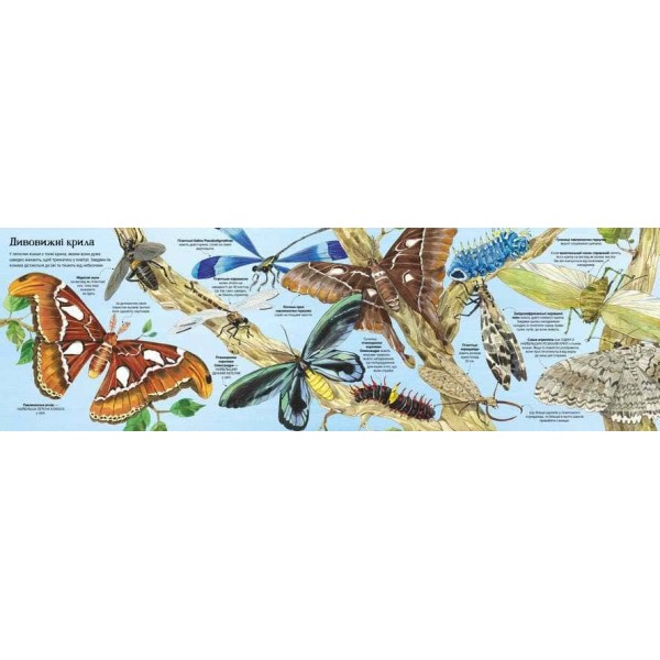 Велика книга комах і не тільки