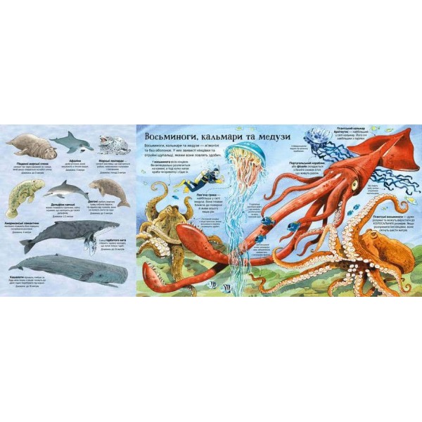 Велика книга морських мешканців