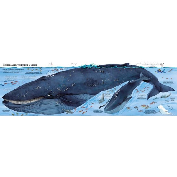 Велика книга тварин