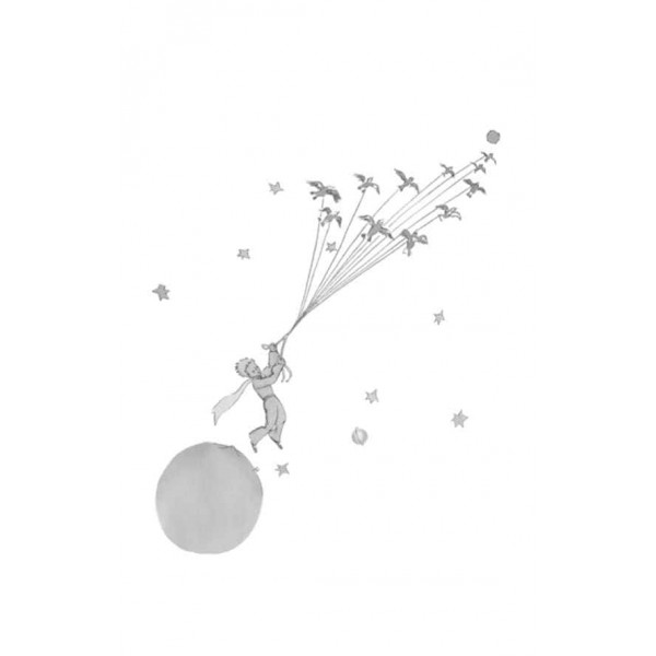 Шкільна бiблiотека. Маленький принц