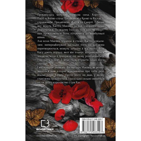 Кров і попіл. Книга 5. Душа з попелу та крові