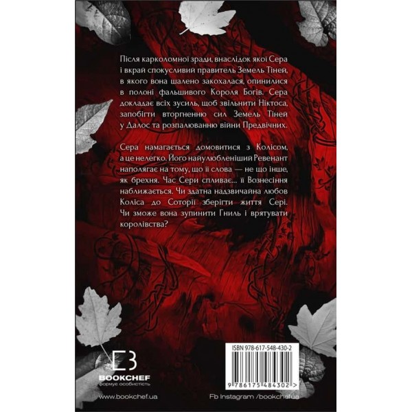 Плоть і вогонь. Книга 3. Вогонь у плоті