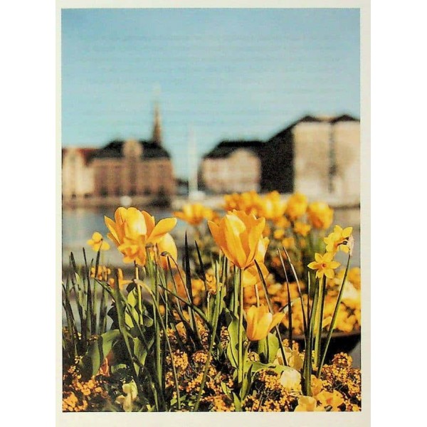 Мистецтво праці по-данськи. Як знайти щастя у роботі й за її межами