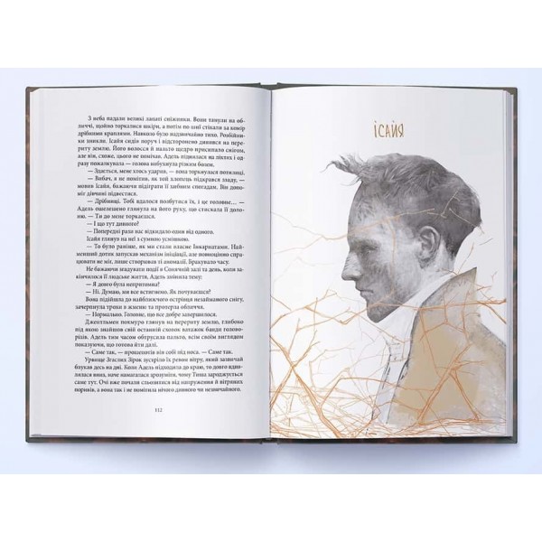 Тиша. Книга 2. Сталь та Сонячний шторм