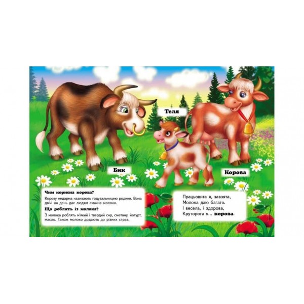 Хто це? На фермі. Запитання та відповіді