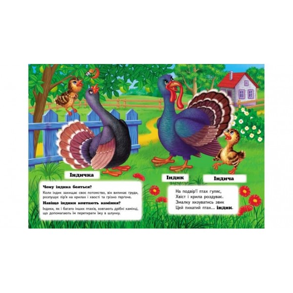 Хто це? На фермі. Запитання та відповіді