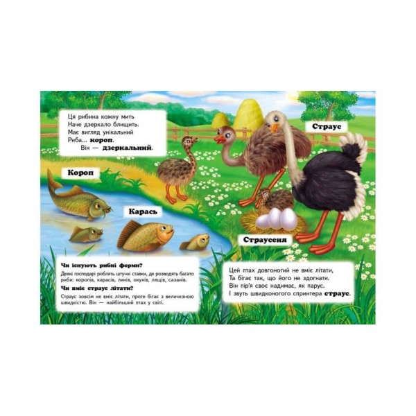 Хто це? На фермі. Запитання та відповіді