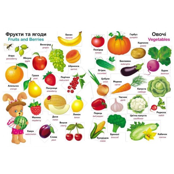 Перший словник малюка. 500 слів