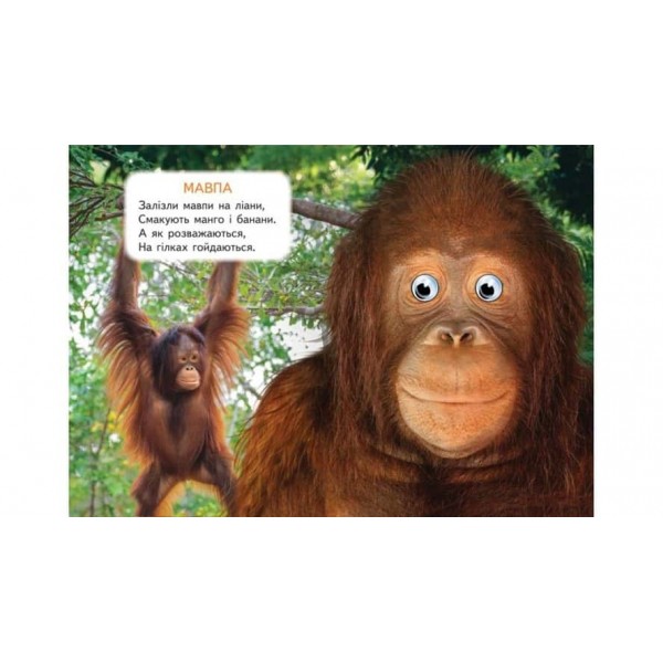 Дикі тварини. Знайомимо малечу з навколишнім світом