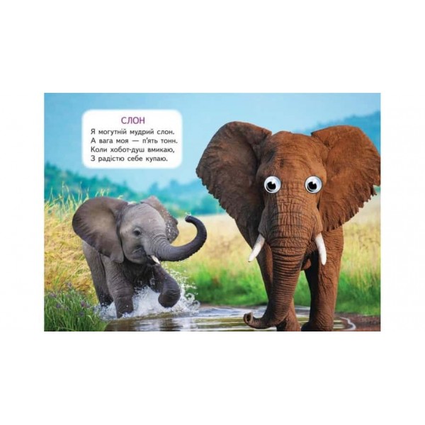 Дикі тварини. Знайомимо малечу з навколишнім світом