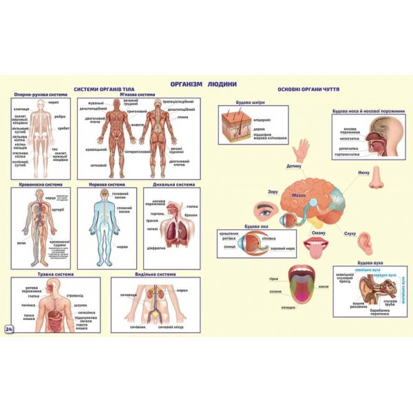 НУШ. Пізнаємо природу. 5 клас. Атлас з контурними картами