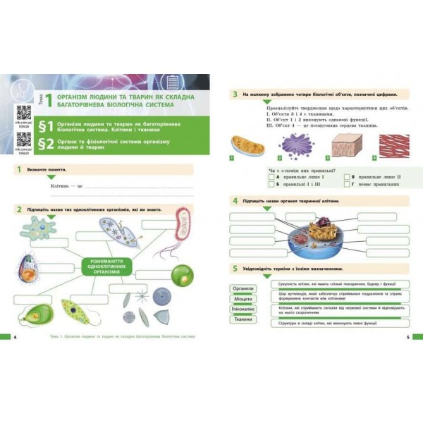 НУШ. Біологія. Робочий зошит для 8 класу ЗЗСО