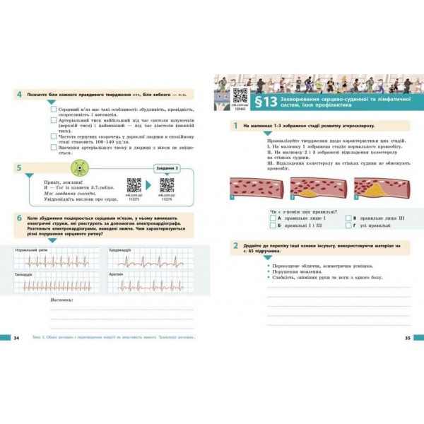 НУШ. Біологія. Робочий зошит для 8 класу ЗЗСО