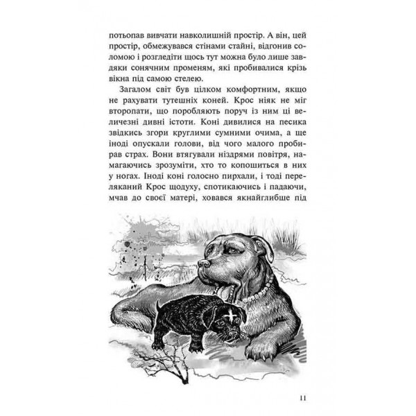 Пригоди Містера Кроса. Неймовірна подорож собаки-мандрівника