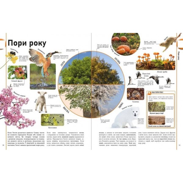 Енциклопедія про все. Наш світ у малюнках