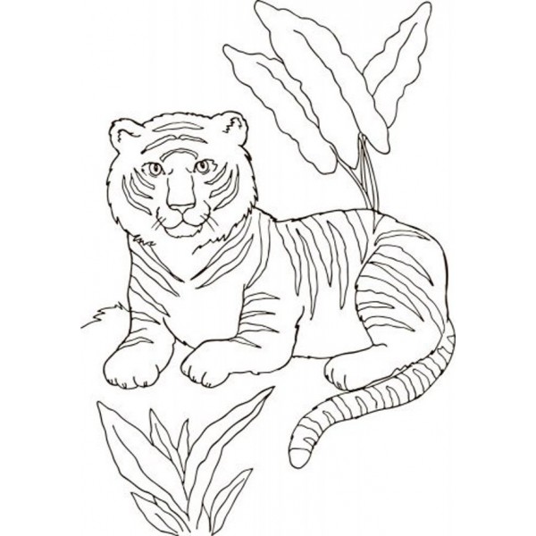 Велика книга розмальовок. Тварини (російською мовою)