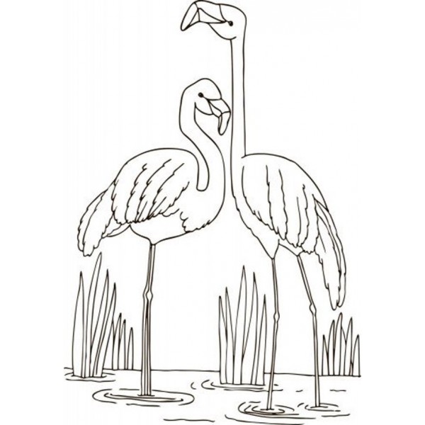 Велика книга розмальовок. Тварини (російською мовою)