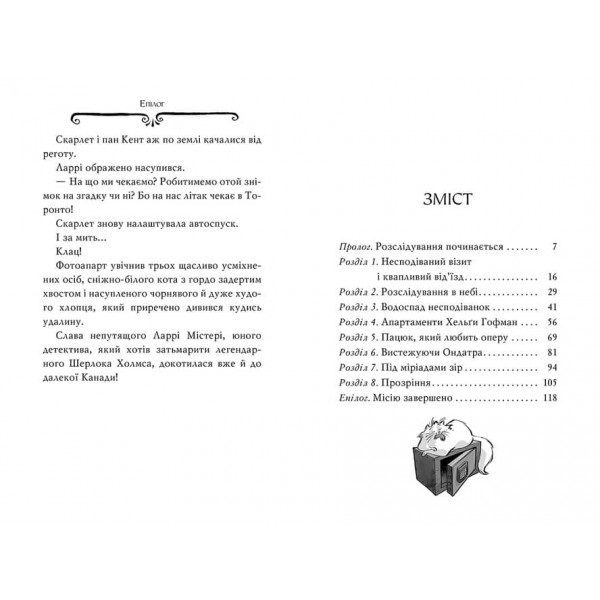 Агата Містері. Книга 4. Крадіжка на Ніагарському водоспаді