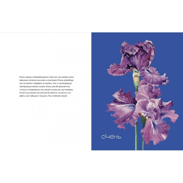 Квіти Перемоги