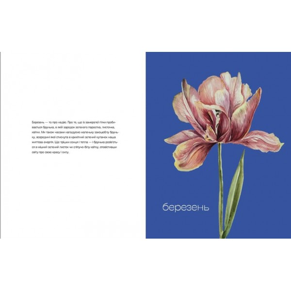 Квіти Перемоги