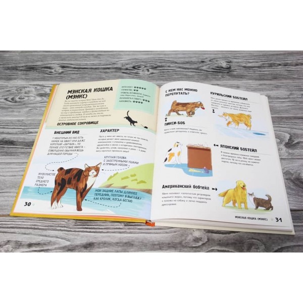 Енциклопедія про котів для дітей. Котячі історії всередині!