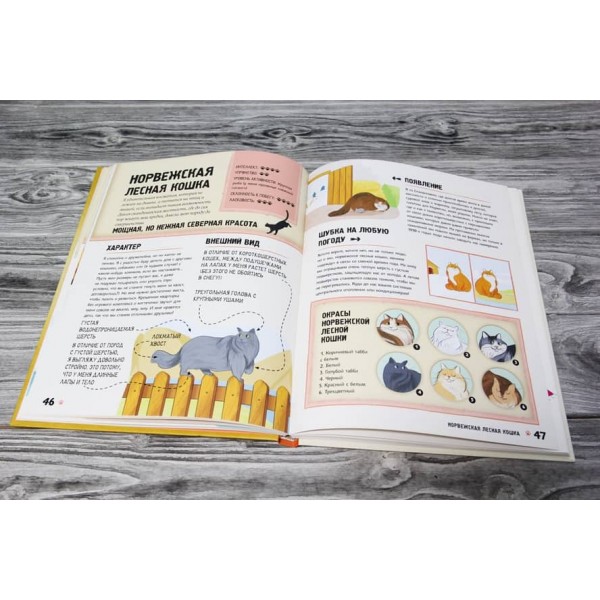 Енциклопедія про котів для дітей. Котячі історії всередині!