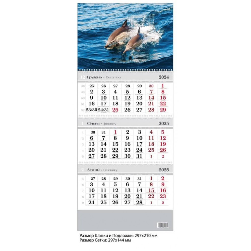 Календар настінний, квартальний. 2025 рік.  Дельфіни