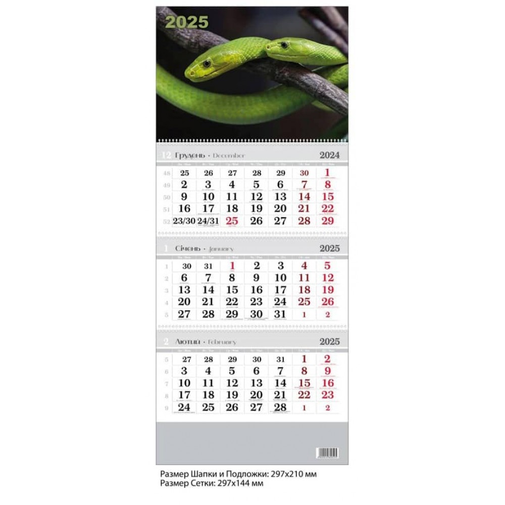 Календар настінний, квартальний. 2025 рік. Змія зелена