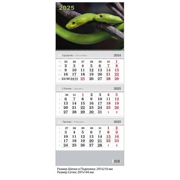Календар настінний, квартальний. 2025 рік. Змія зелена