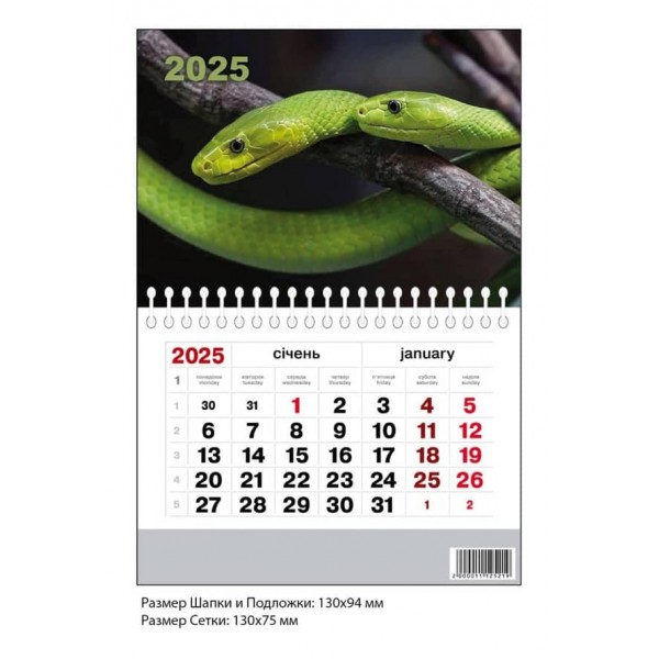 Календар на магніті. 2025 рік. Рік Змії. 3 види