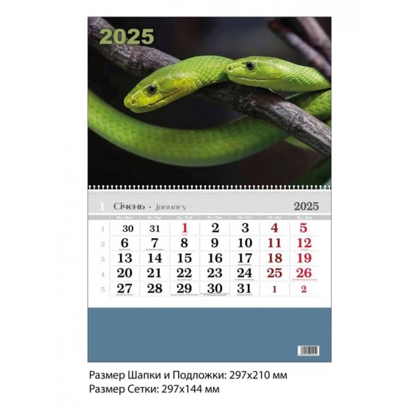Календар настінний. 2025 рік.  Змія зелена