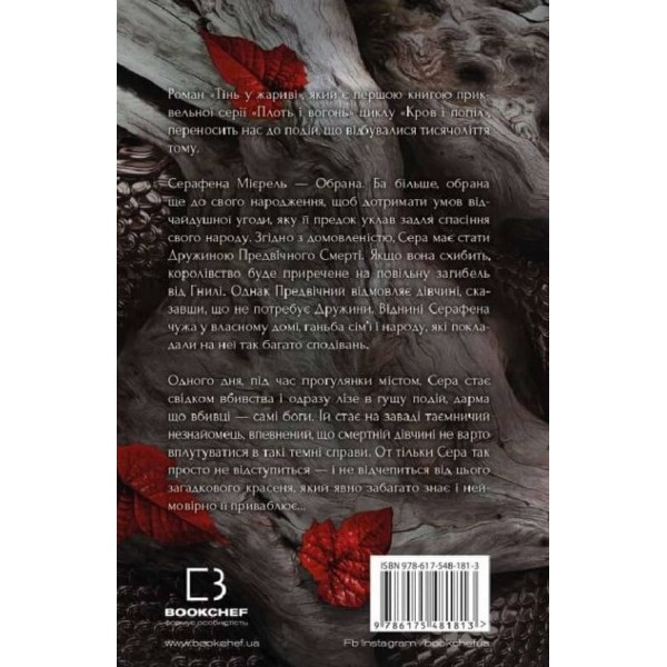 Плоть і вогонь. Книга 1. Тінь у жариві