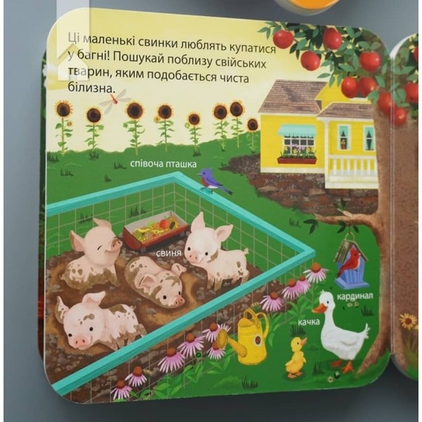 Хто живе на фермі? Зазирни у віконечко