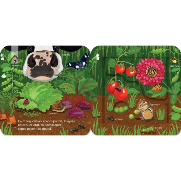 Хто живе на фермі? Зазирни у віконечко