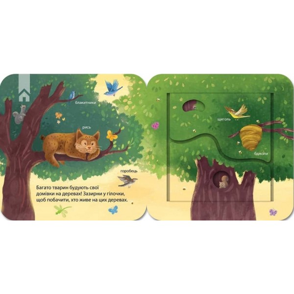 Хто живе у лісі? Зазирни у віконечко