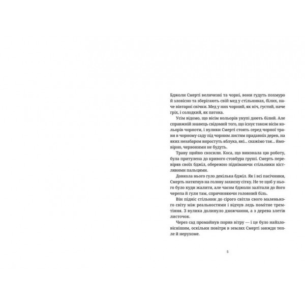 Дискосвіт. Ринсвінд. Книга 9. Ерік