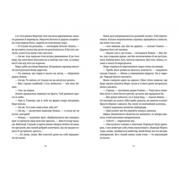 Дискосвіт. Смерть. Книга 1. Морт