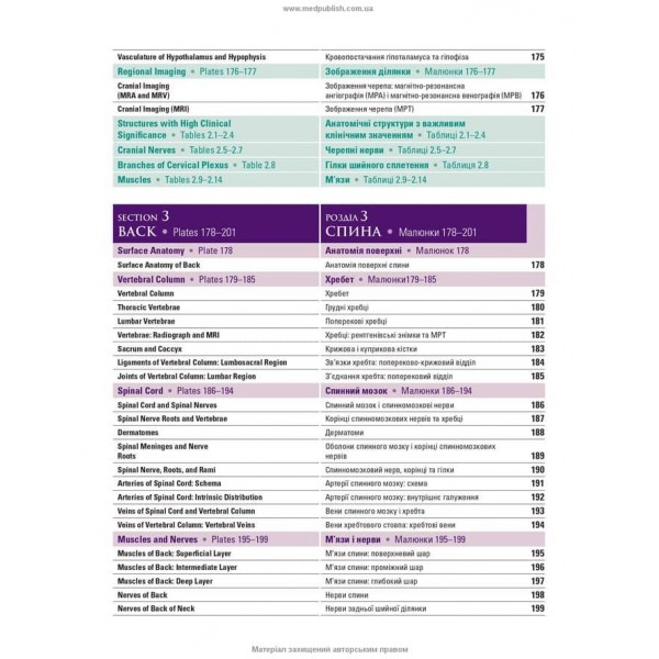Атлас анатомії людини за Неттером. Класичний ділянковий підхід. 8-е видання (двомовне видання)