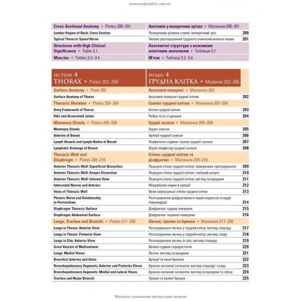 Атлас анатомії людини за Неттером. Класичний ділянковий підхід. 8-е видання (двомовне видання)